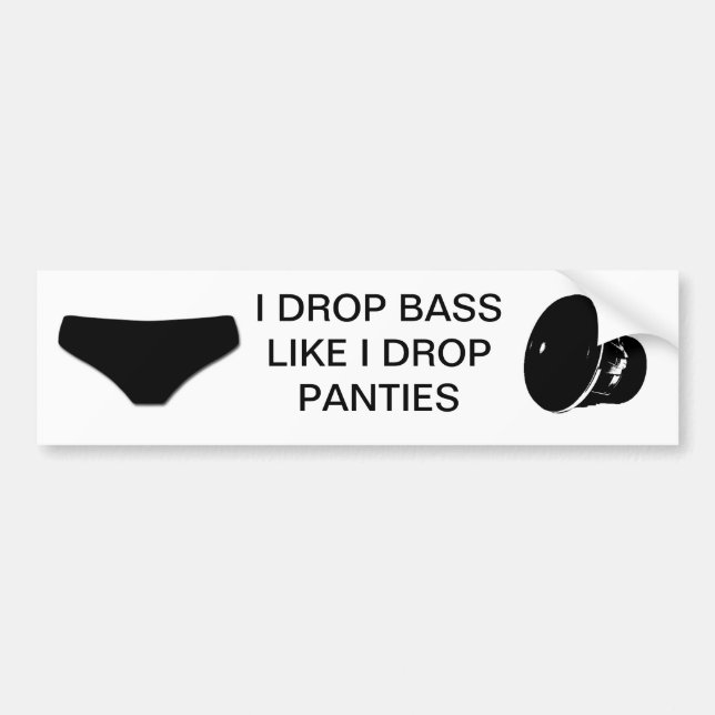 Dropping bass like you drop panties bumper sticker (Front)