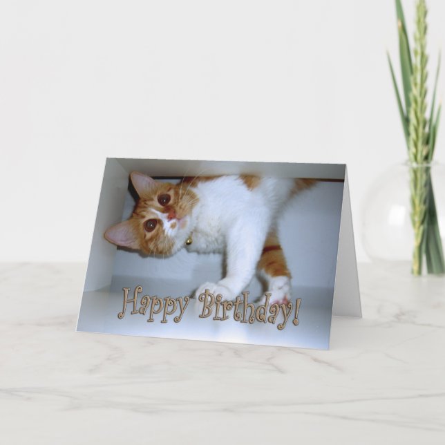 Dropping In Kitty - Happy Birthday! Card (Front)