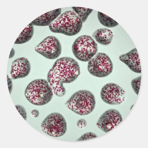 Drops of glittered magenta hair gel classic round sticker