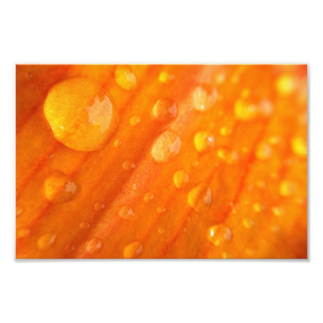 Drops On Bright Orange Flower Photo Print (Front)