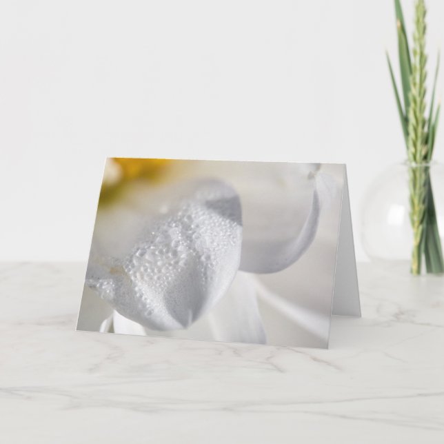 Drops on dahlia petals card (Front)