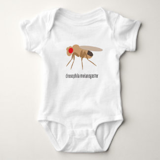 Drosophila Baby Bodysuit