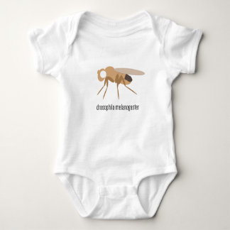 Drosophila Baby Bodysuit (white eye)