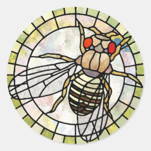 Drosophila Classic Round Sticker