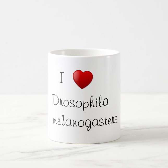 Drosophila Coffee Mug (Center)