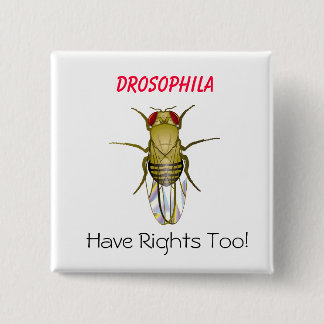 DROSOPHILA, Drosophila , Have Righ... - Customised 15 Cm Square Badge