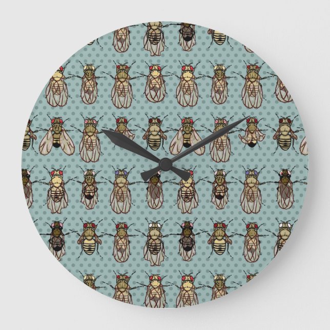 Drosophila mutants large clock (Front)