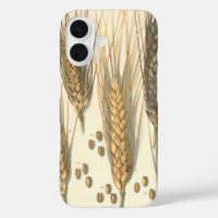 Drought Resistant Wheat Plant, Vintage Agriculture