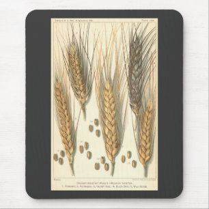 Drought Resistant Wheat Plant, Vintage Agriculture Mouse Pad