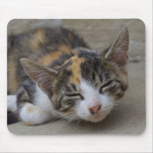 Drowsing Calico Kitten Mouse Pad