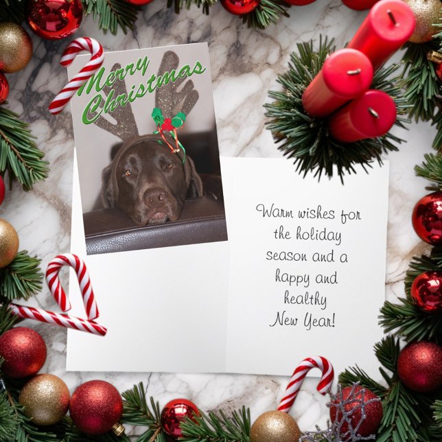 Drowsy Christmas Dog Wearing Glitter Antlers Holiday Card (Folding Christmas card cover and inside)
