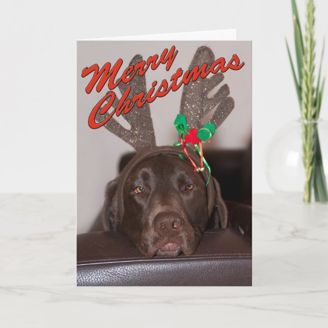Drowsy Christmas Labrador With Festive Antlers Holiday Card (Front)
