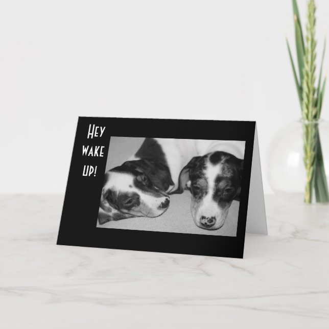 DROWSY DACHSHUNDS 40th BIRTHDAY Card (Front)
