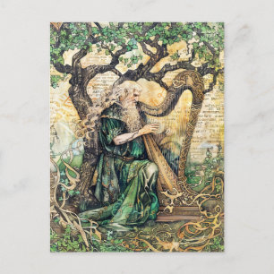 Druid  Celtic Wise Priest of Nature Postcard