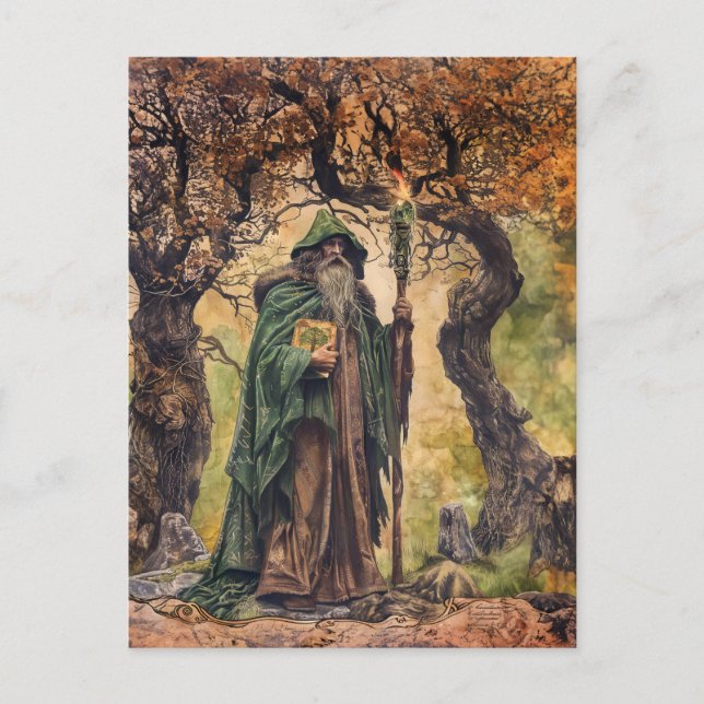 Druid  Celtic Wise Priest of Nature Postcard (Front)
