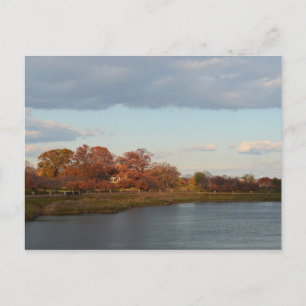 Druid Hill Park Postcard