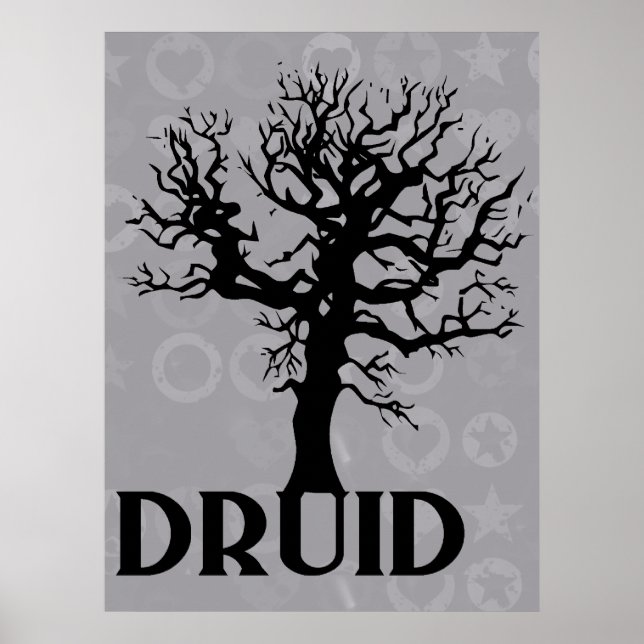 Druid Poster (Front)