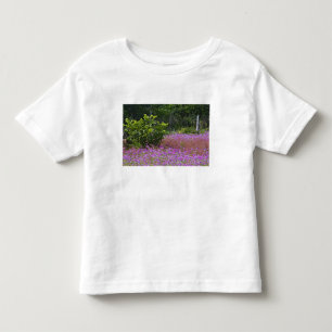 Drummond Phlox, Phlox drummondi, Hilton Head Toddler T-Shirt
