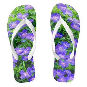 Drummond's clematis - a cute little blue flower thongs