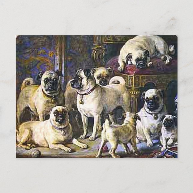 Drumpellier Pugs Postcard (Front)