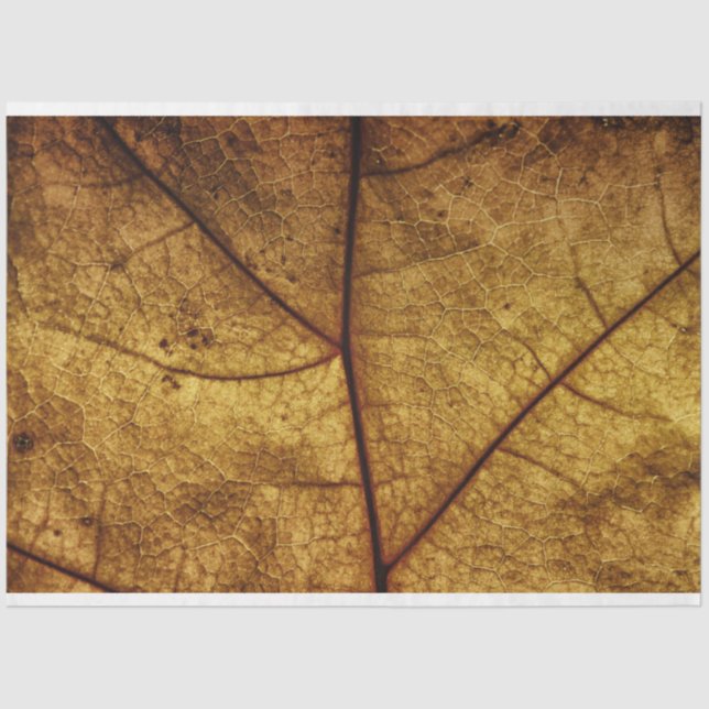 Dry Autumn Leaf Background Decoupage Tissue Paper (Front)