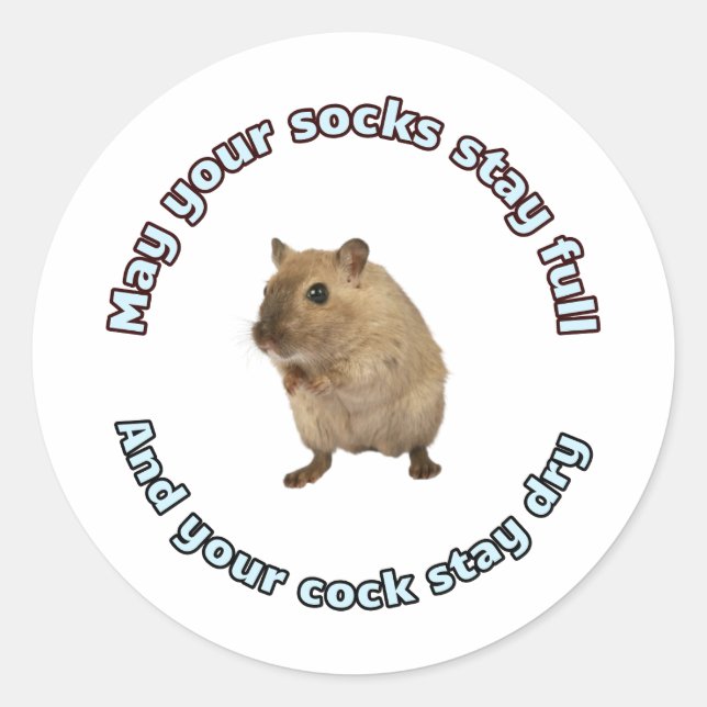 Dry Classic Round Sticker (Front)