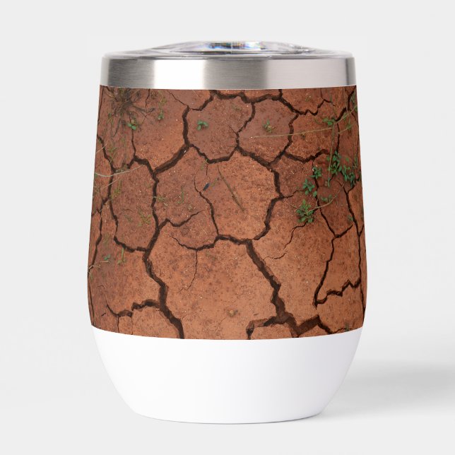 dry, cracked ground (Front)