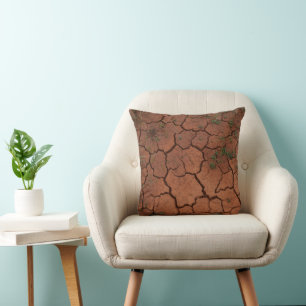 dry, cracked ground cushion