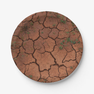 dry, cracked ground paper plate