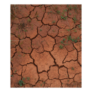 dry, cracked ground photo print