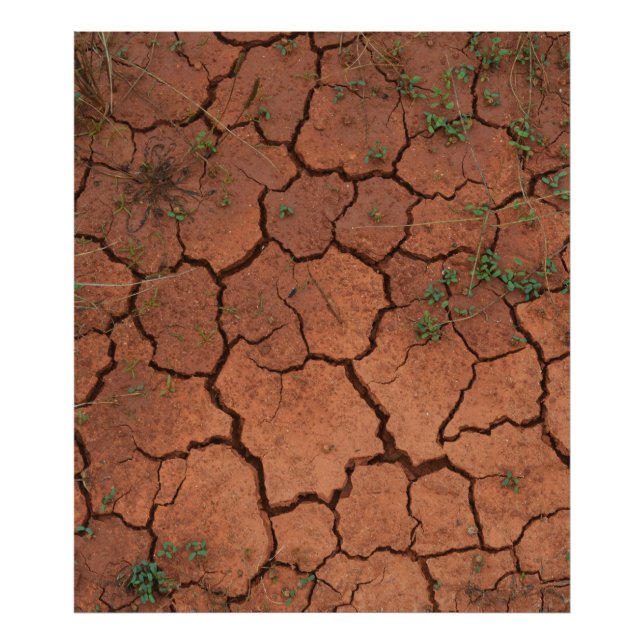 dry, cracked ground photo print (Front)