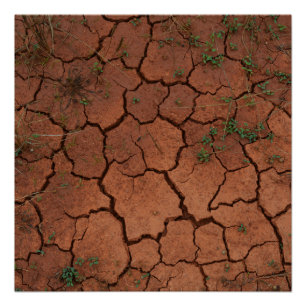 dry, cracked ground poster