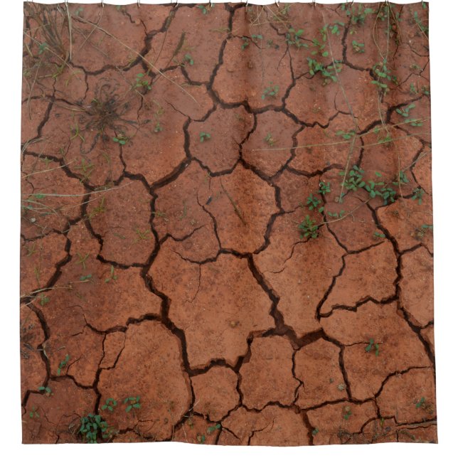 dry, cracked ground shower curtain (Front)