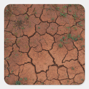 dry, cracked ground square sticker