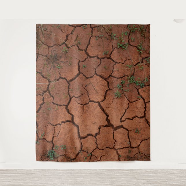 dry, cracked ground tapestry (Front)