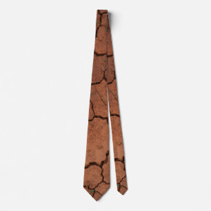 dry, cracked ground tie