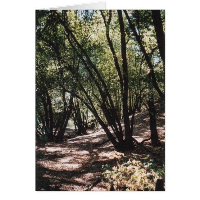 Dry Creek Road (Front)