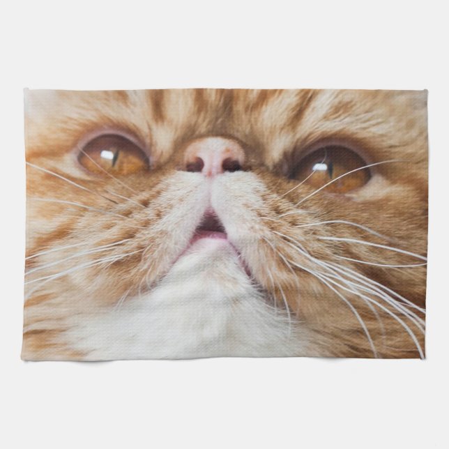 DrY DA DiShEs! Tea Towel (Horizontal)