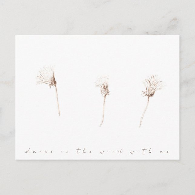 Dry dandelions ink drawing postcard (Front)