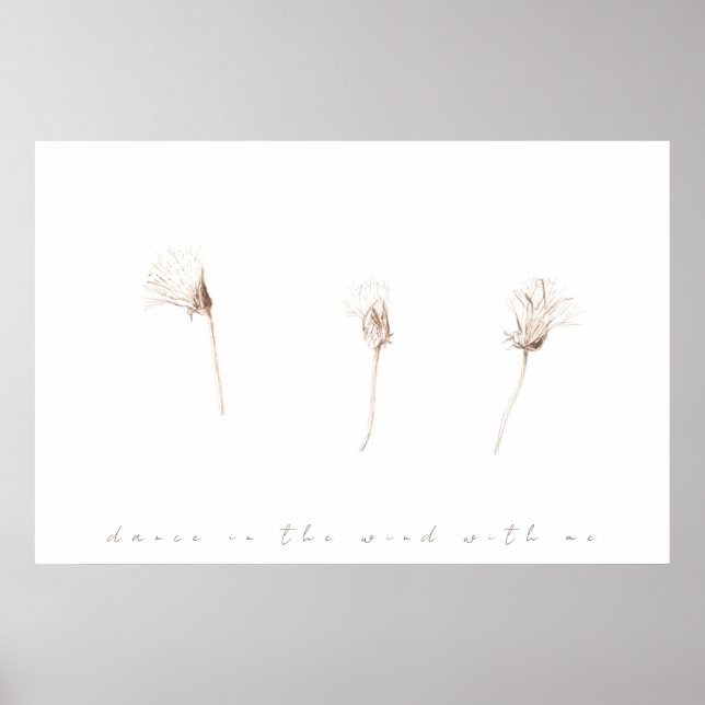 Dry dandelions ink drawing poster (Front)