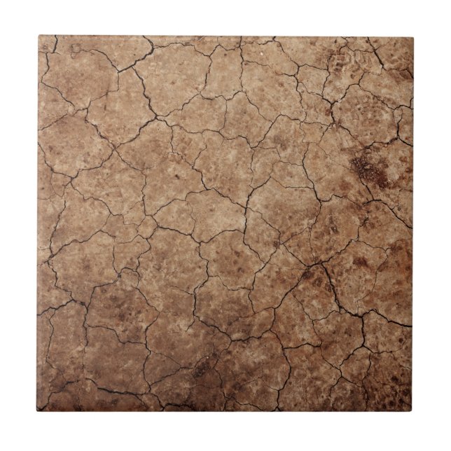 Dry Earth Ceramic Tile (Front)