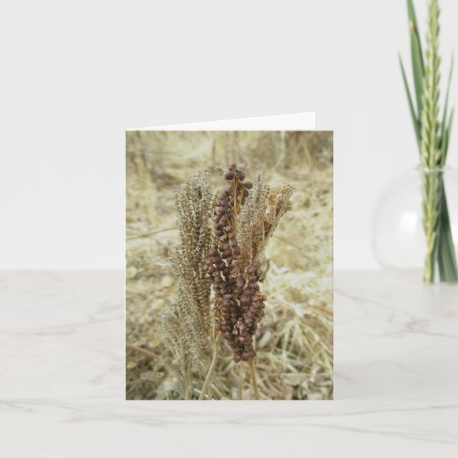 Dry Fern Note Card (Front)