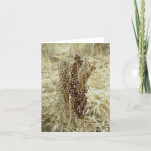 Dry Fern Note Card
