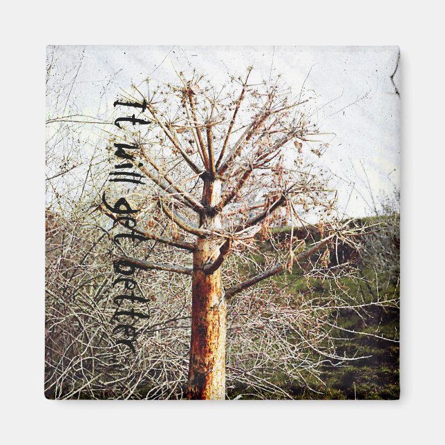 Dry Ferula Plant Magnet (Front)