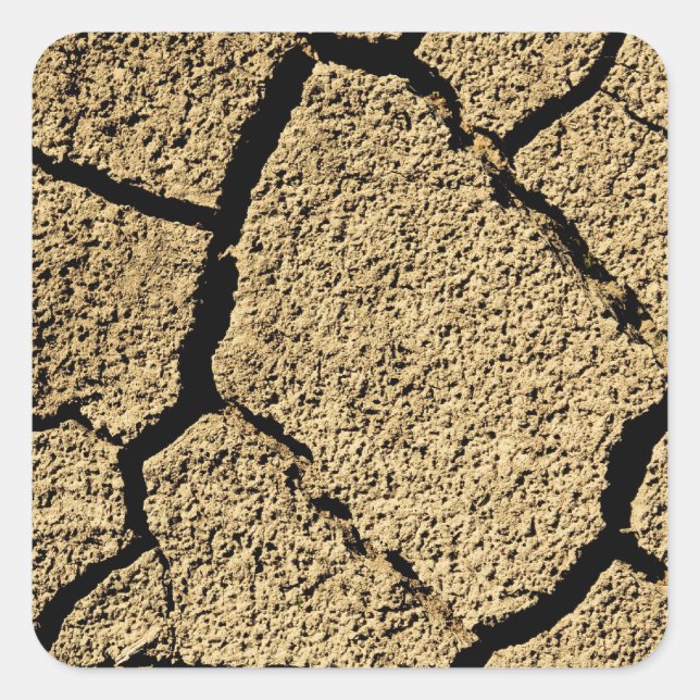 Dry land with cracked earth in drought square sticker (Front)