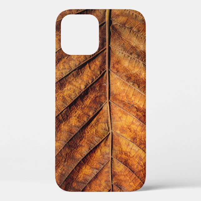 Dry leaf: natural texture background. Case-Mate iPhone case (Back)