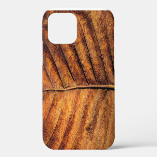 Dry leaf: natural texture background. iPhone 12 case