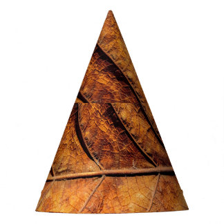 Dry leaf: natural texture background. party hat