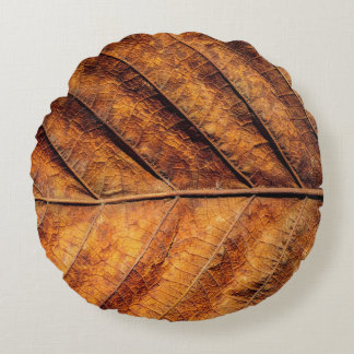 Dry leaf: natural texture background. round cushion