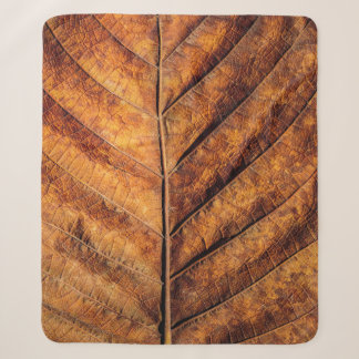 Dry leaf: natural texture background. sherpa blanket